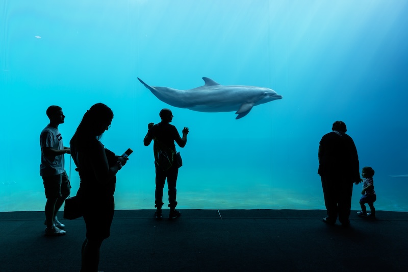 acquario-genova-2.jpg